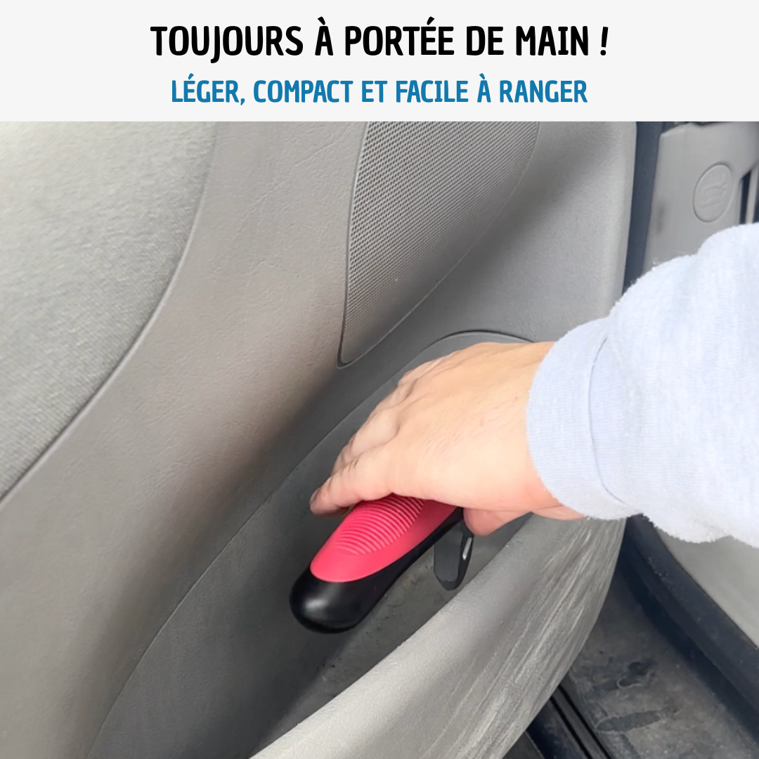 Poignée de canne de voiture CarGrip